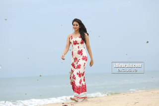 Rakul Preet Singh feet photo thumbnail