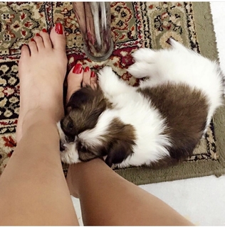 Ramneek Pantal feet photo 13