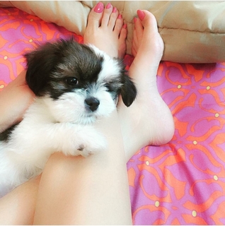 Ramneek Pantal feet photo 1