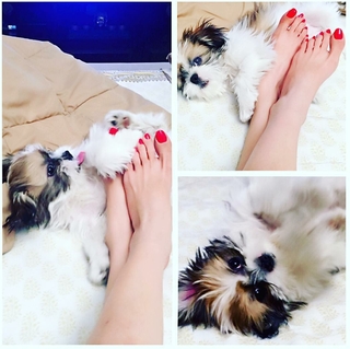 Ramneek Pantal feet photo 17