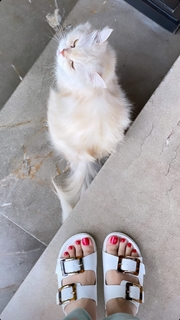 Ramneek Pantal feet photo 11