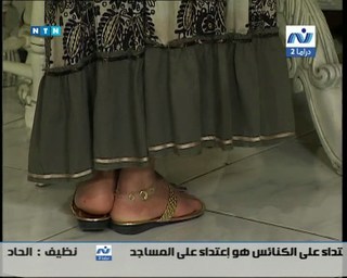 Rania Youssef feet photo thumbnail