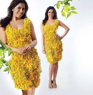Ranjini Haridas feet photo 2