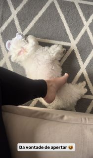 Raquel Benetti feet photo 16