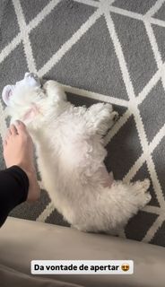 Raquel Benetti feet photo 14