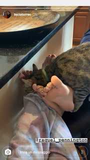 Raquel Pennington feet photo 15