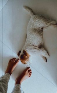 Raquel Strada feet photo 3