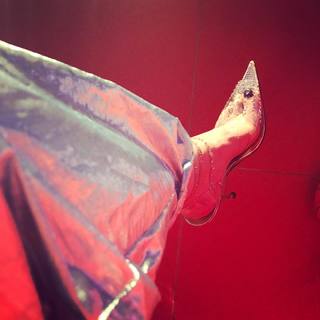 Raquel Sánchez-Silva feet photo 20