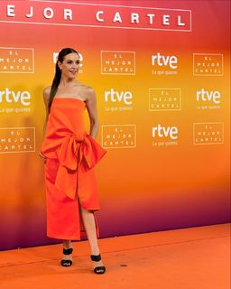 Raquel Sánchez-Silva feet photo 12