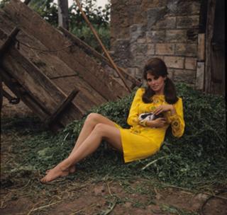 Raquel Welch feet photo thumbnail