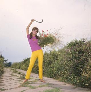 Raquel Welch feet photo thumbnail