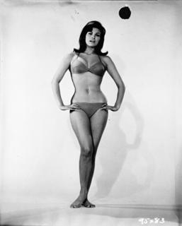 Raquel Welch feet photo thumbnail