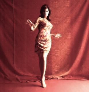 Raquel Welch feet photo thumbnail