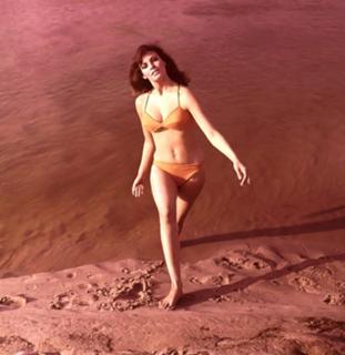 Raquel Welch feet photo thumbnail