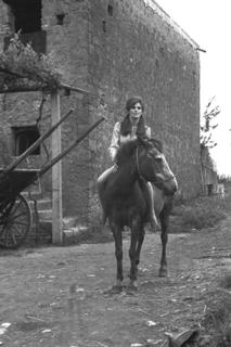 Raquel Welch feet photo thumbnail