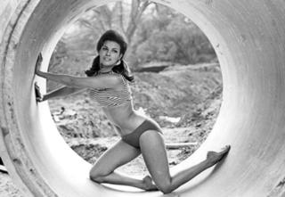 Raquel Welch feet photo thumbnail