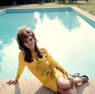 Raquel Welch feet photo thumbnail