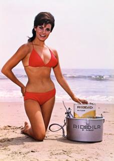Raquel Welch feet photo thumbnail