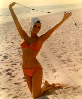 Raquel Welch feet photo thumbnail
