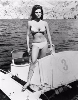 Raquel Welch feet photo thumbnail