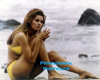 Raquel Welch feet photo thumbnail