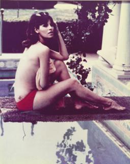 Raquel Welch feet photo thumbnail