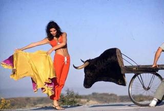 Raquel Welch feet photo thumbnail