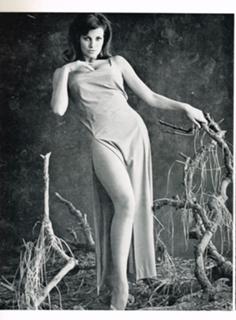 Raquel Welch feet photo thumbnail