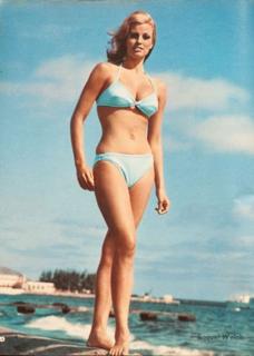 Raquel Welch feet photo thumbnail
