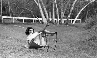 Raquel Welch feet photo thumbnail