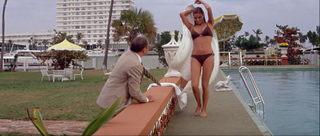 Raquel Welch feet photo thumbnail