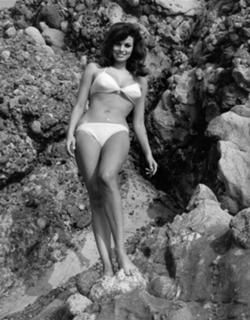 Raquel Welch feet photo thumbnail