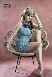 Raquel Welch feet photo thumbnail