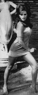 Raquel Welch feet photo thumbnail
