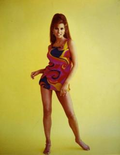 Raquel Welch feet photo thumbnail