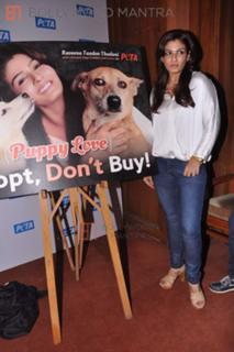 Raveena Tandon feet photo thumbnail