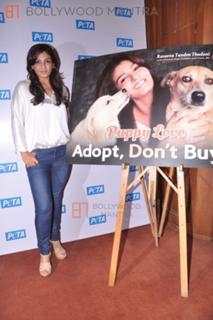 Raveena Tandon feet photo thumbnail