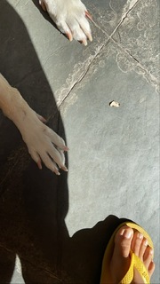 Rayssa Bratillieri feet photo 18
