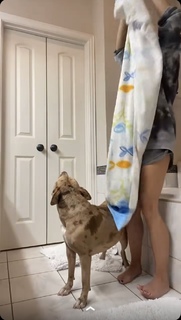 Reagan Campbell feet photo thumbnail