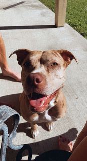 Reagan Campbell feet photo thumbnail