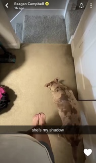 Reagan Campbell feet photo thumbnail