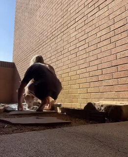 Reagan Campbell feet photo thumbnail