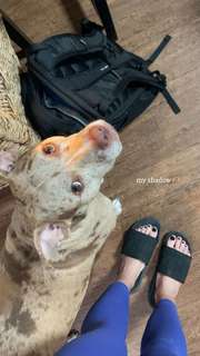 Reagan Campbell feet photo thumbnail