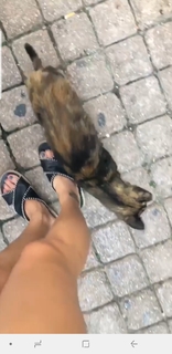Rebecca Black feet photo thumbnail