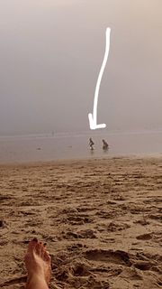 Rebecca Gayheart feet photo thumbnail