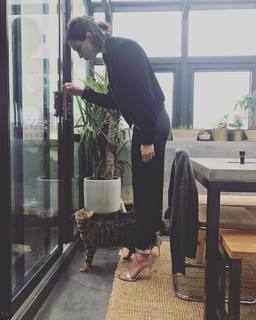 Rebecca Hall feet photo thumbnail