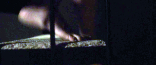 Rebecca Hall feet photo thumbnail