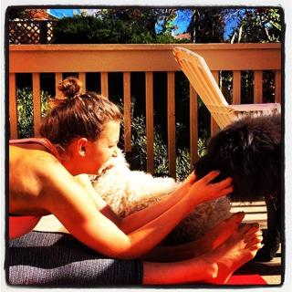 Rebecca Soni feet photo 16