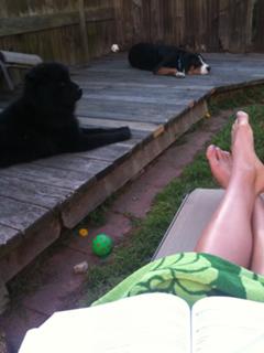 Rebecca Soni feet photo 14