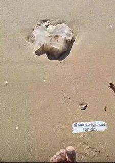Reef Neeman feet photo 3